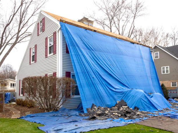 Best Carpet Removal and Disposal  in Wesleyville, PA